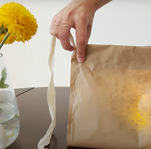 Light In A Bag